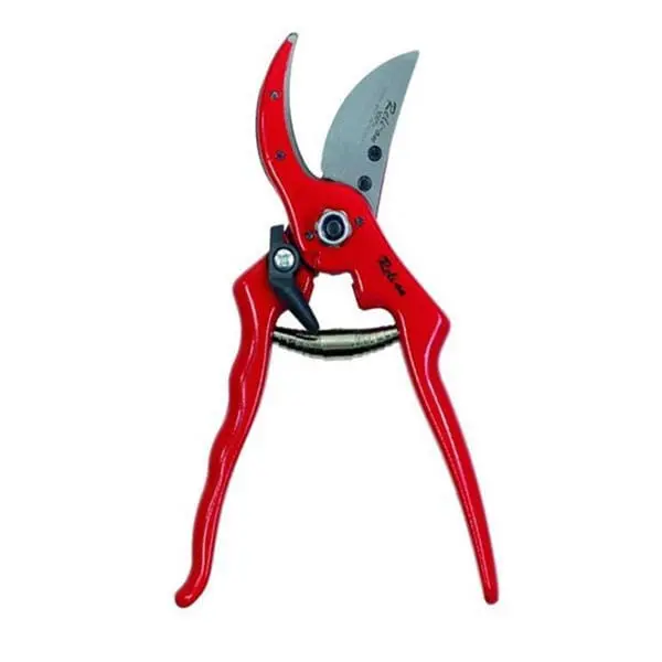 Pruning Shear