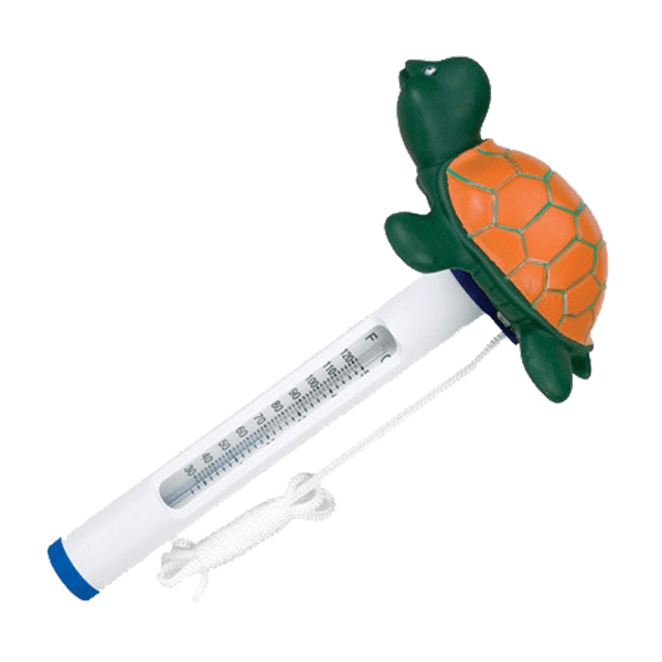 Pool Thermometer Turtle