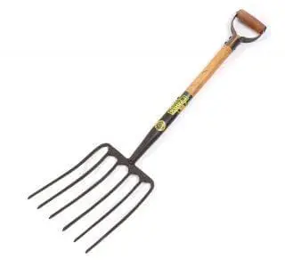 Fork Stable/peanut 5p Short 119 (Lasher)