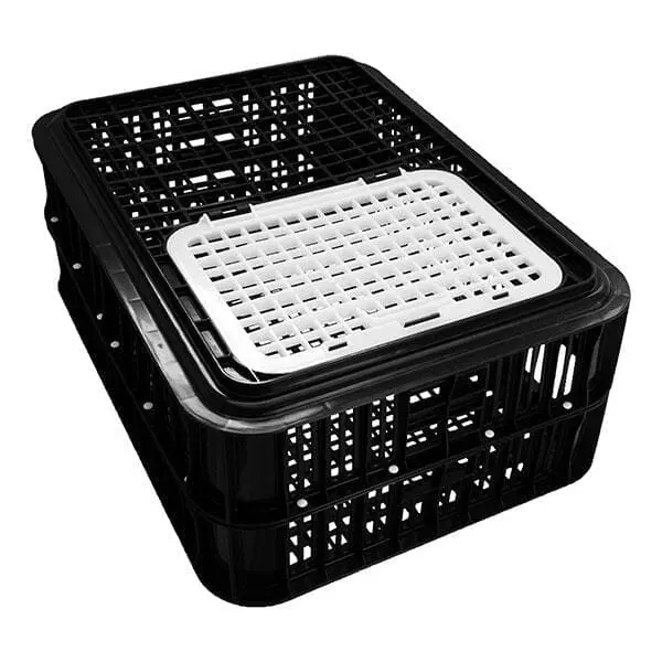 Live Bird Crate - Black