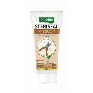Steriseal (100ml)