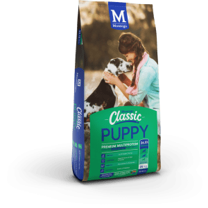 Montego Classic - Large Breed Puppy