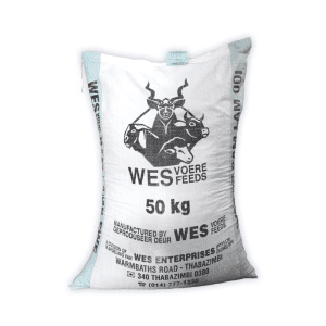 wes-voere-ram-lam-en-ooi