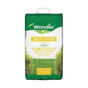 wonder-deep-green (2)