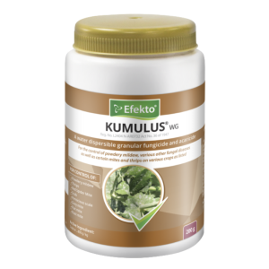 Efekto Kumulus WG 200g