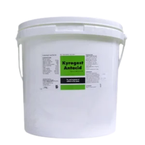 Kyrogest Antacid (320g)