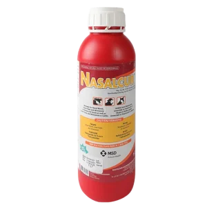 Nasalcur (1L)
