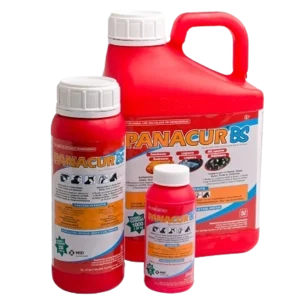 Panacur BS