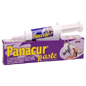 Panacur Paste (24g)