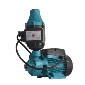 RAP Pressure Pump CI 0.37KW 220V