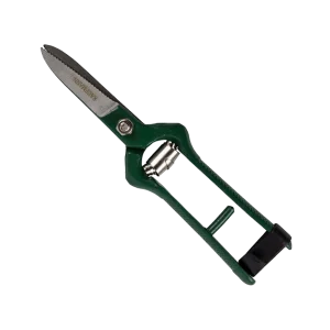 Shear Grape Harvest (Kaufmann)